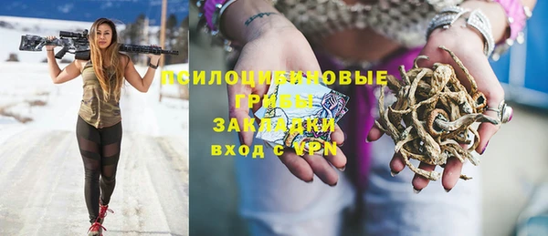 тгк Надым