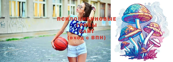 тгк Надым