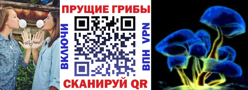 omg как зайти  Осинники  Галлюциногенные грибы мухоморы 