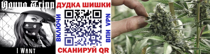 Бошки марихуана MAZAR  наркота  Осинники 